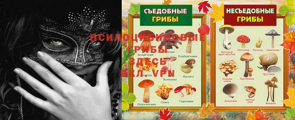 мескалин Нефтекумск