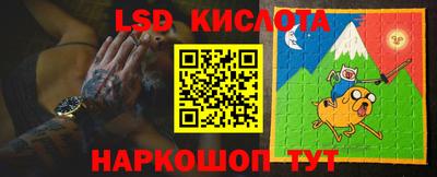 гидра Камышлов