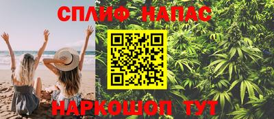 гидра Камышлов