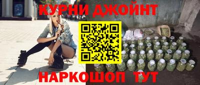гидра Камышлов