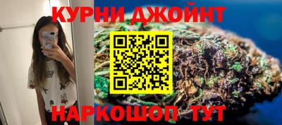 гидра Камышлов