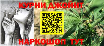 гидра Камышлов