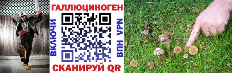 Псилоцибиновые грибы прущие грибы  маркетплейс Telegram  omg ссылки  Хабаровск  цены  
