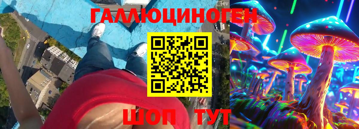 Хабаровск  Псилоцибиновые грибы Psilocybine cubensis  Вход с VPN 