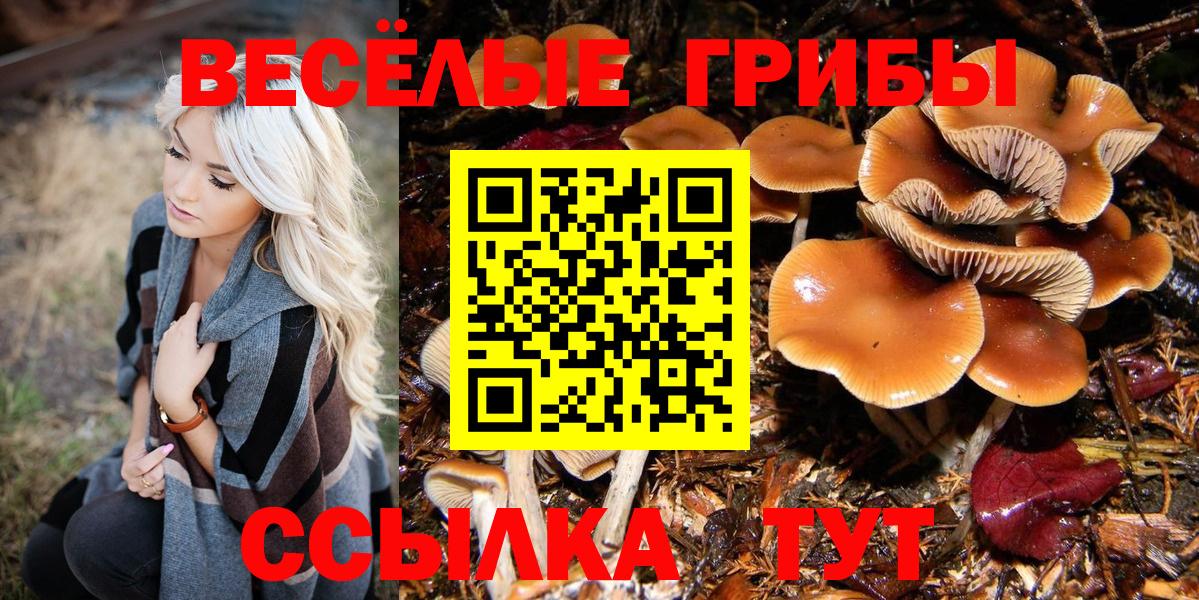 Галлюциногенные грибы прущие грибы Хабаровск